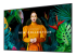 Samsung QM75C - 75" Diagonalklasse QMC Series LED-bakgrunnsbelyst LCD-skjerm - Høyre vinkel